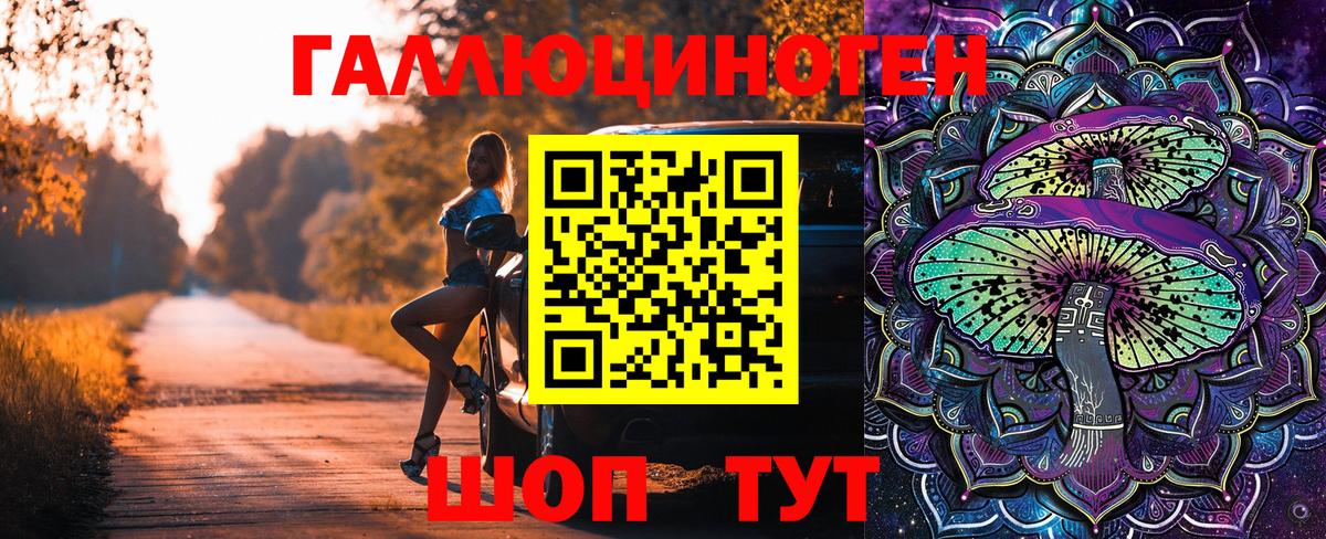 Галлюциногенные грибы MAGIC MUSHROOMS  Псилоцибиновые грибы Psilocybine cubensis  Татарск  Вход с VPN 